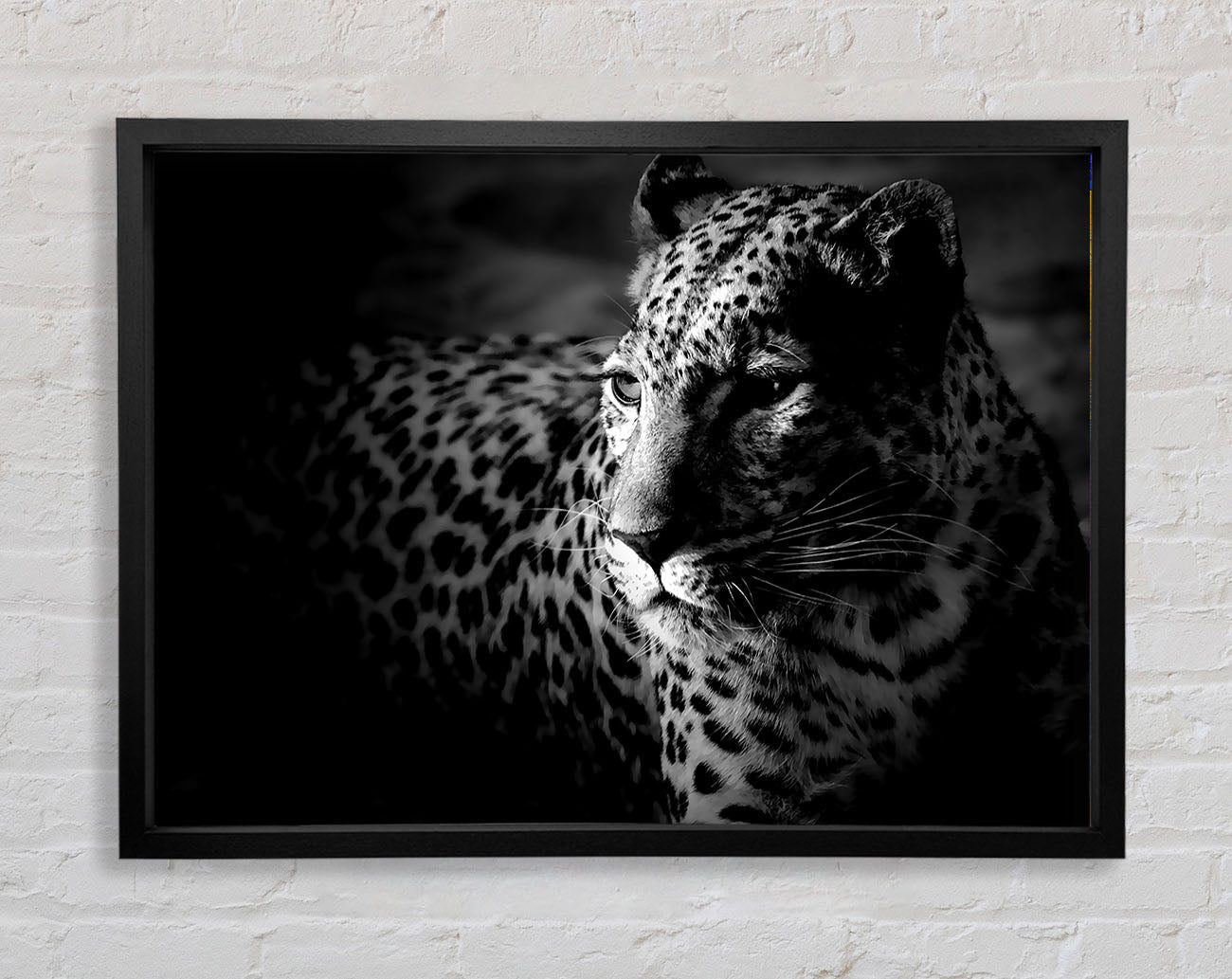 Dark Cheetah Framed Print