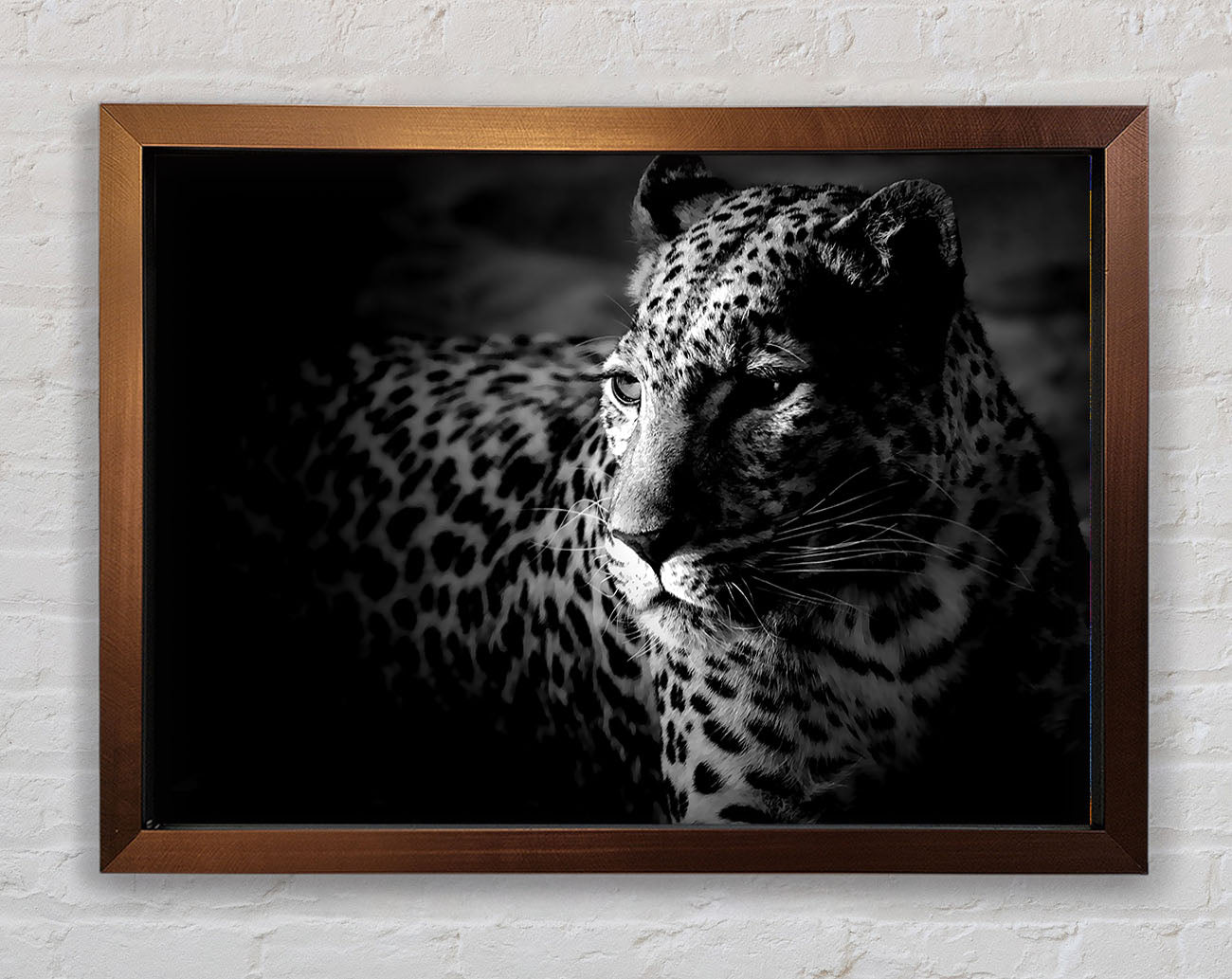 Dark Cheetah Framed Print