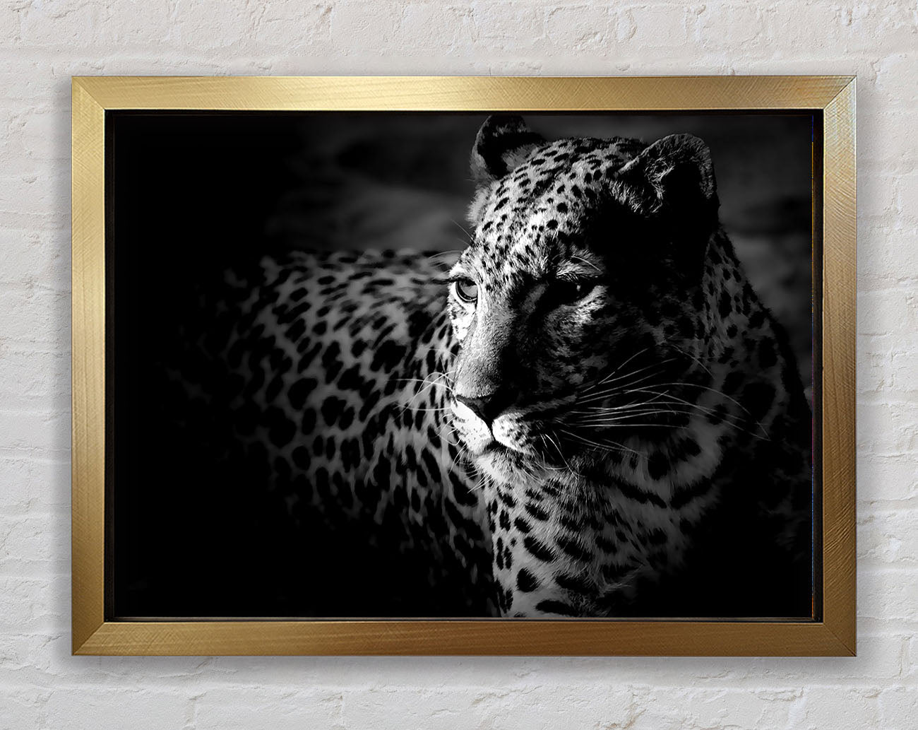 Dark Cheetah Framed Print