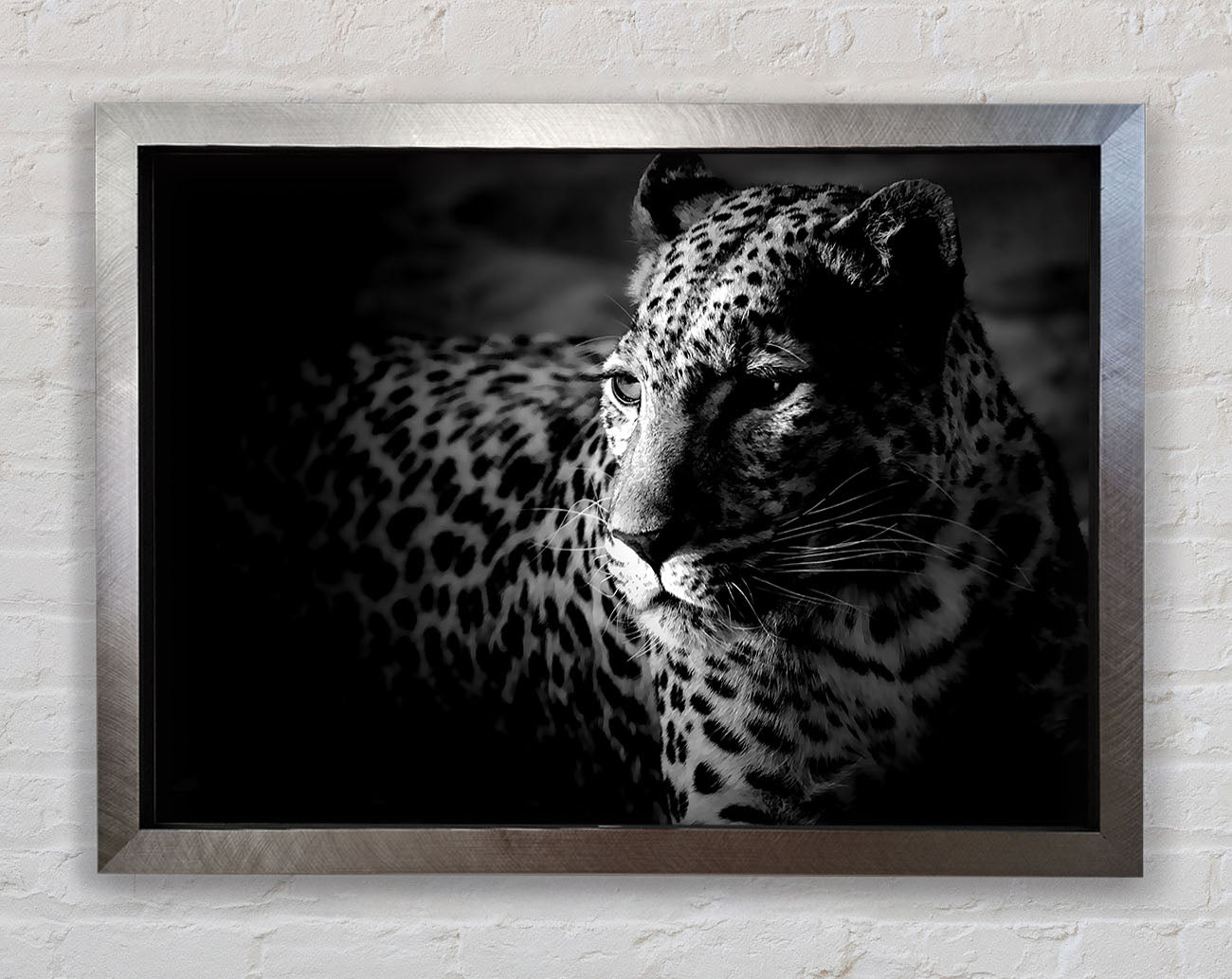 Dark Cheetah Framed Print