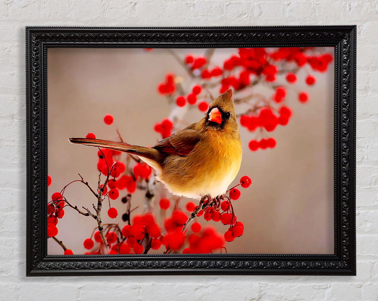 Garden Bird Framed Print