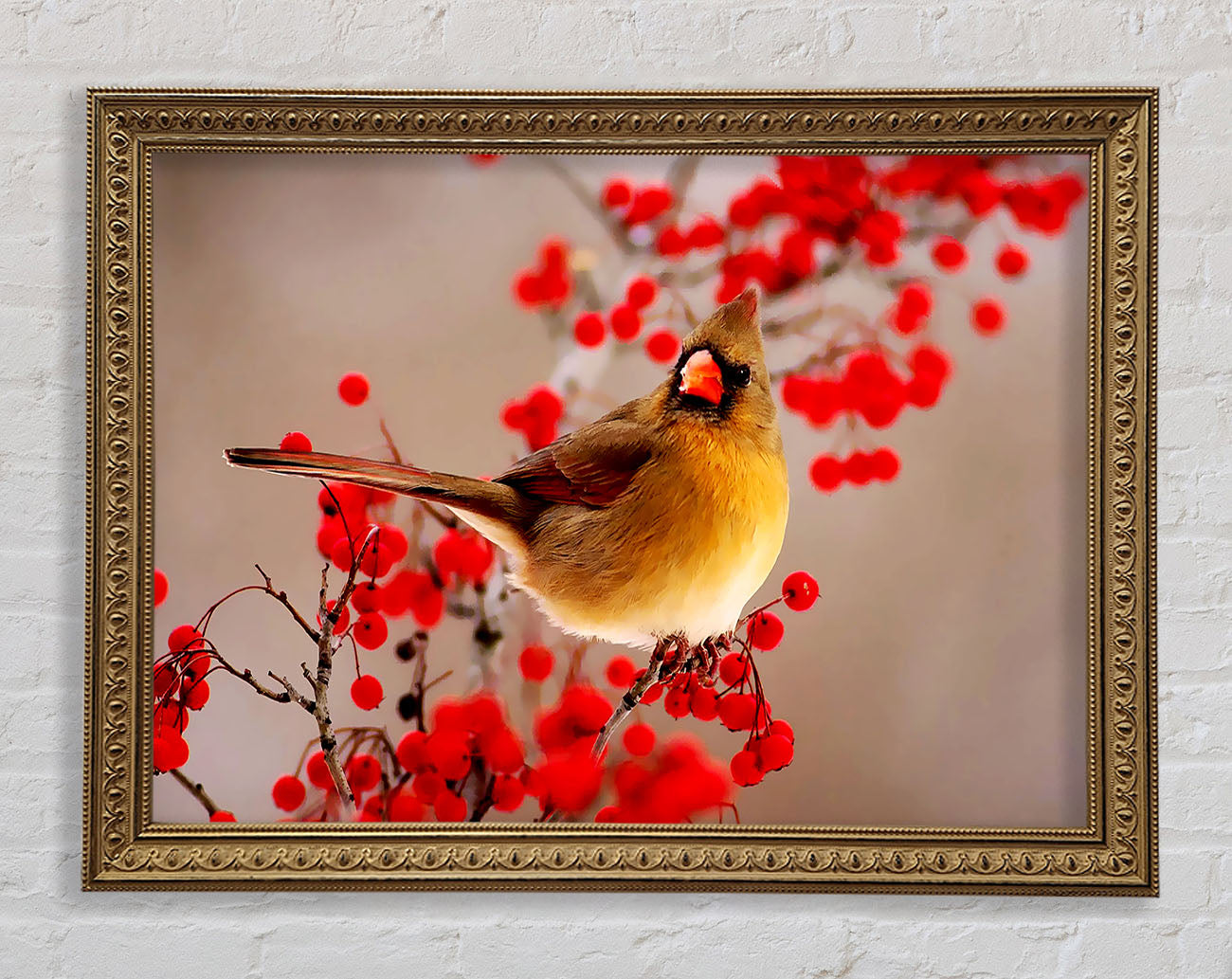 Garden Bird Framed Print