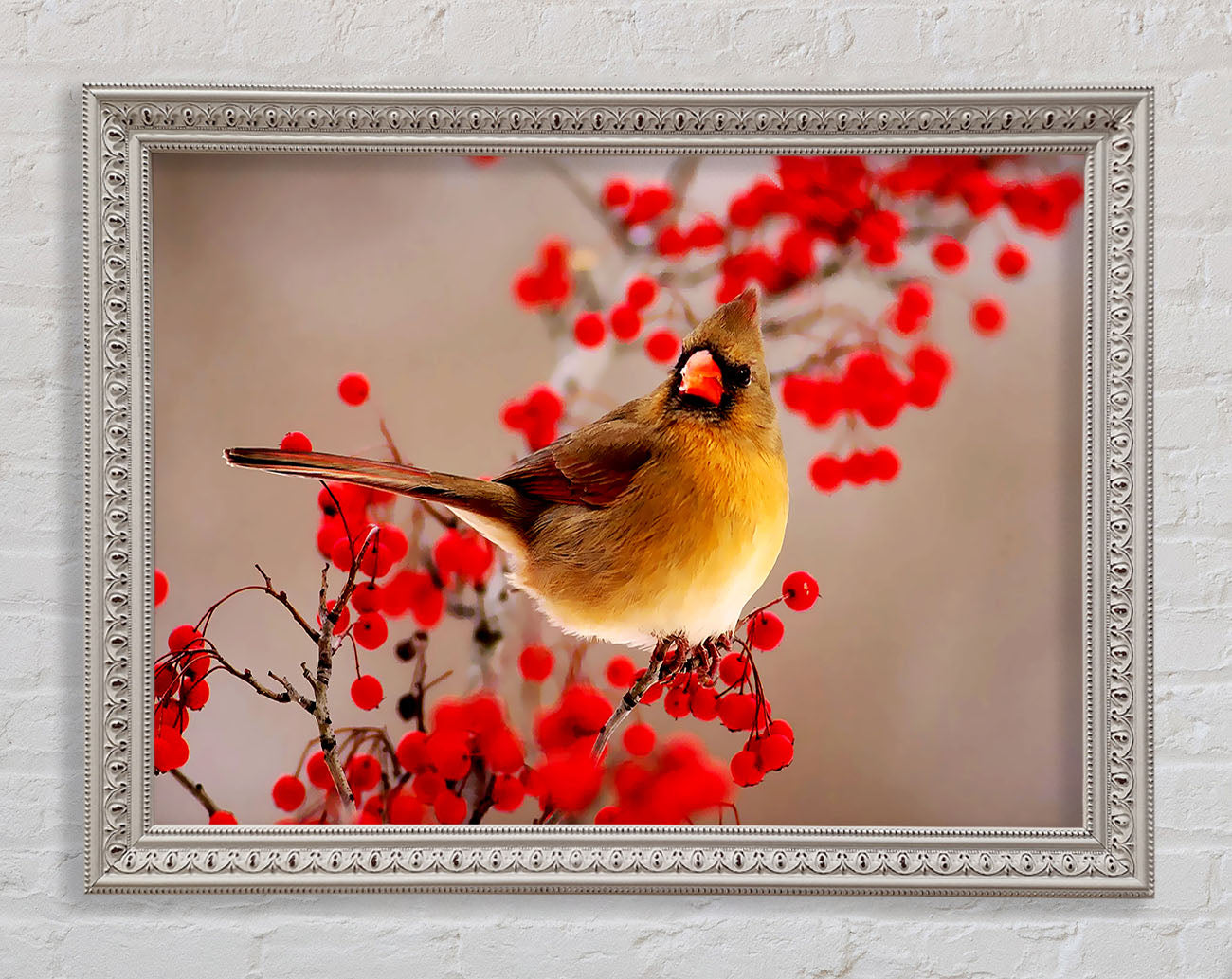 Garden Bird Framed Print