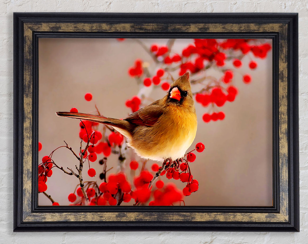 Garden Bird Framed Print