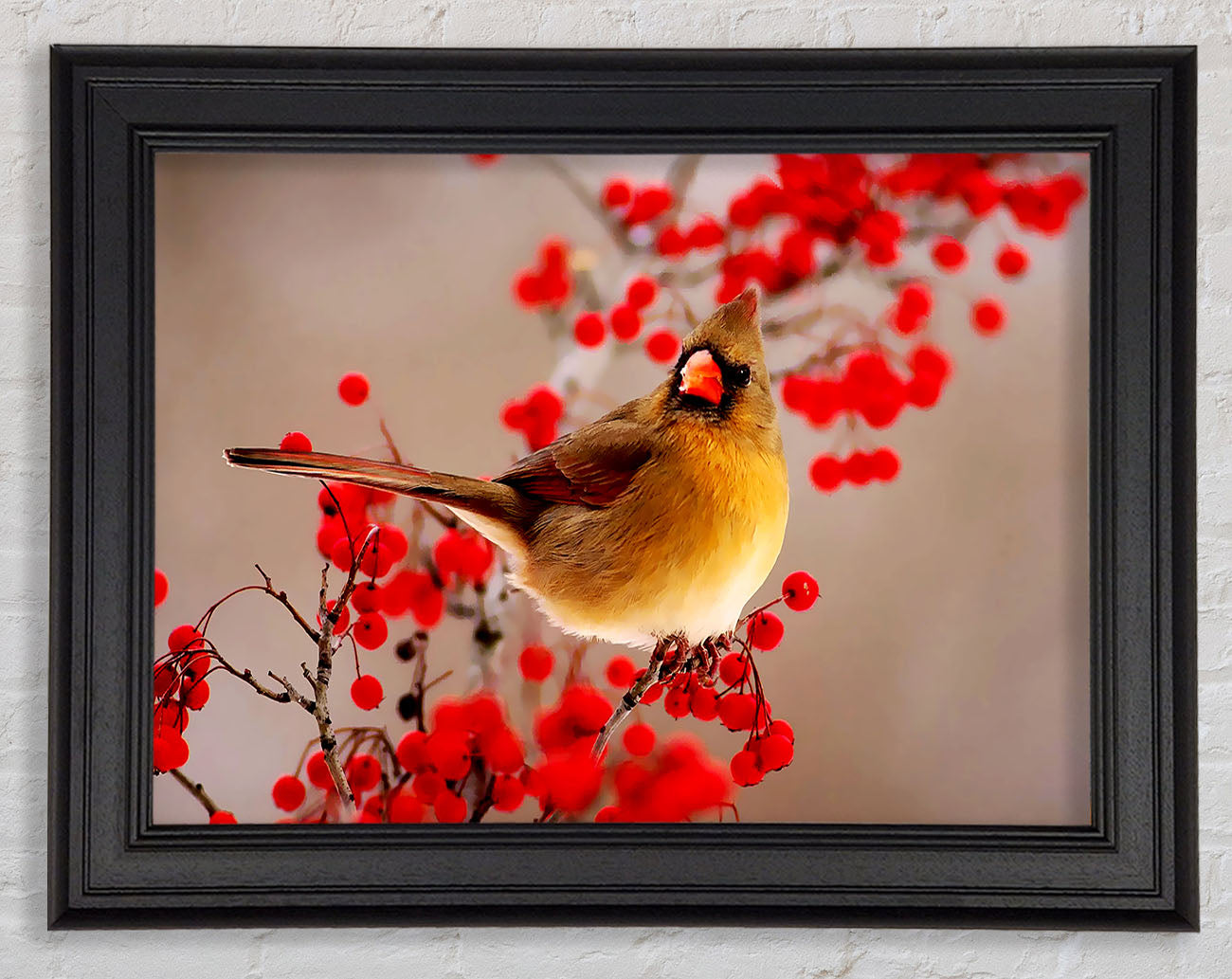 Garden Bird Framed Print