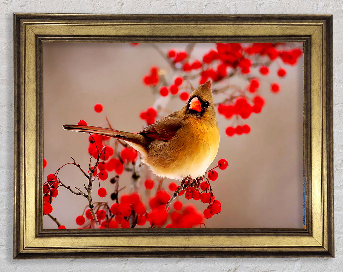 Garden Bird Framed Print