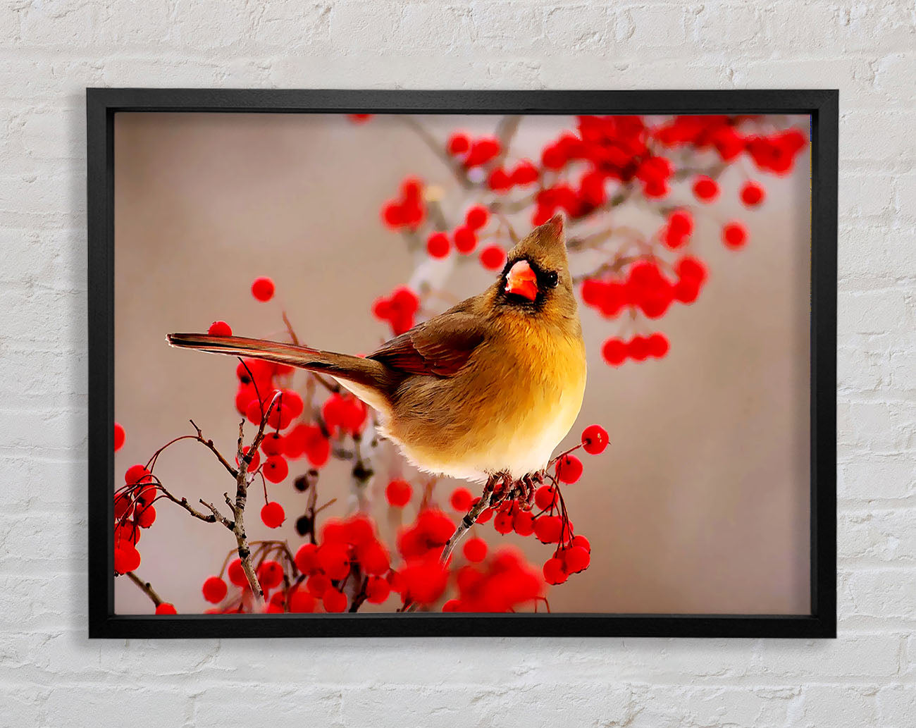 Garden Bird Framed Print