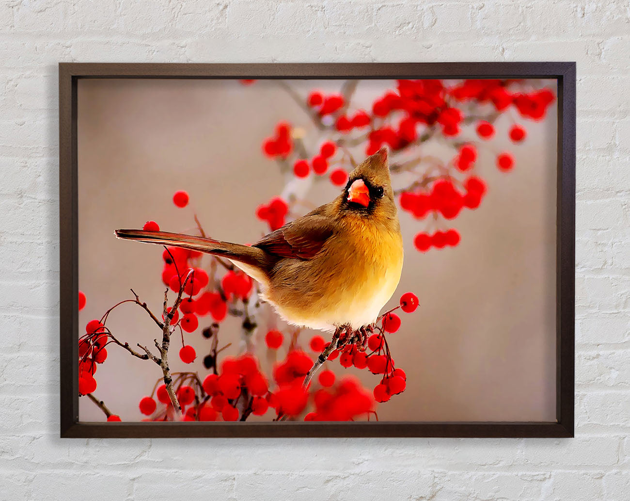 Garden Bird Framed Print