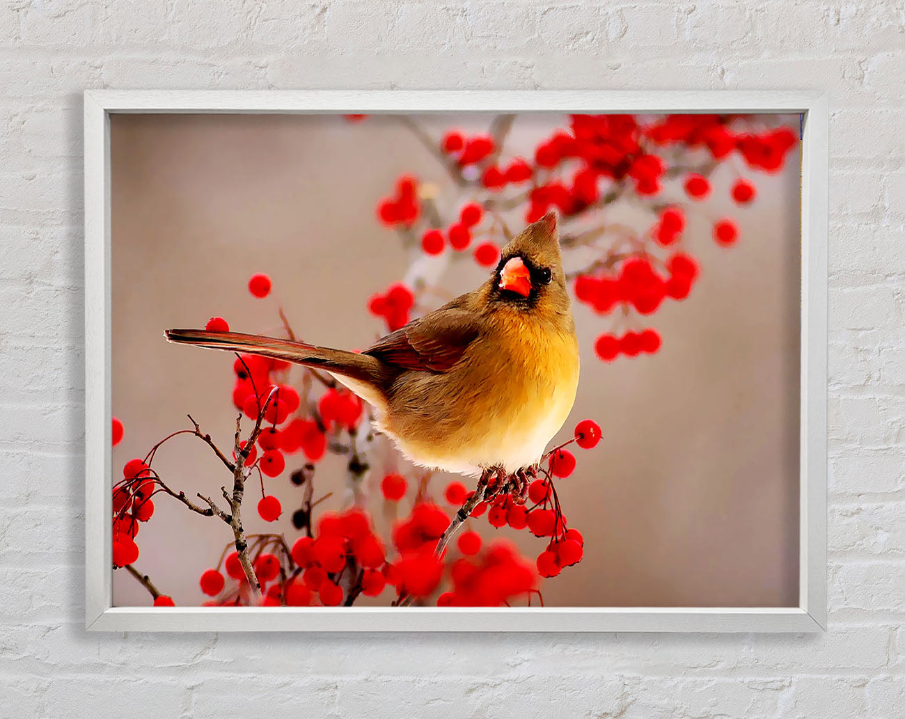 Garden Bird Framed Print