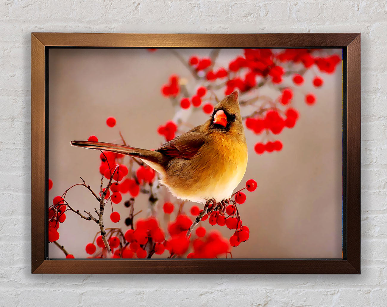 Garden Bird Framed Print