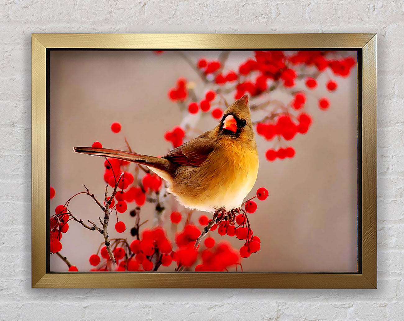 Garden Bird Framed Print