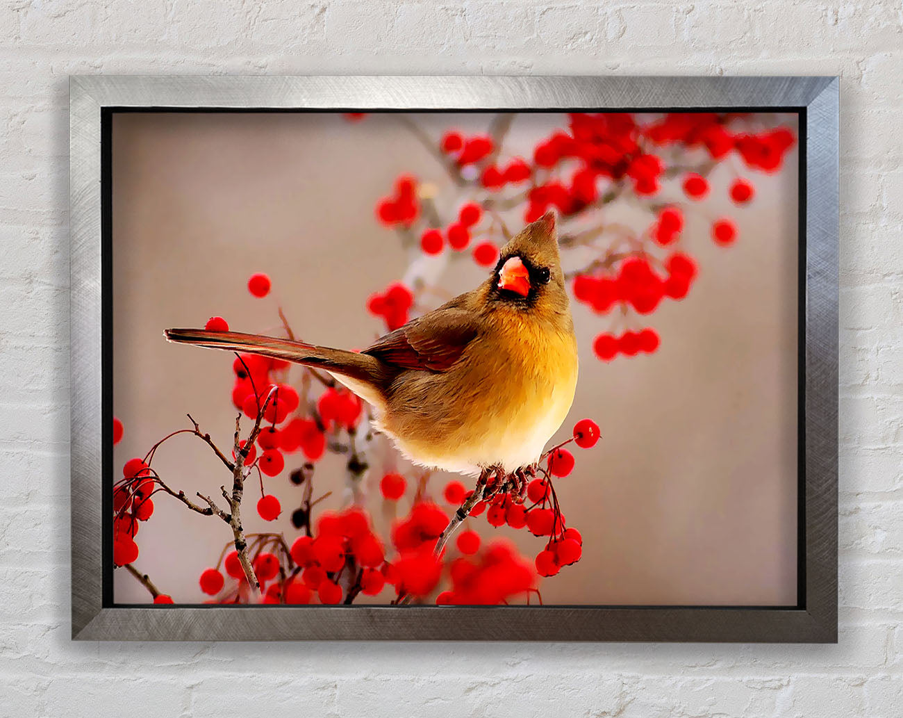 Garden Bird Framed Print