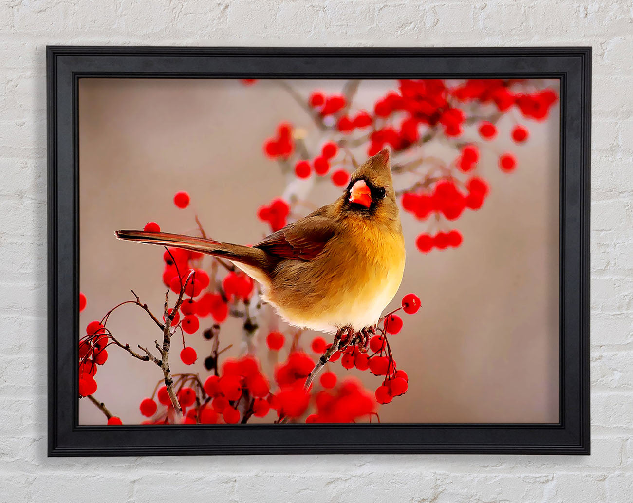Garden Bird Framed Print