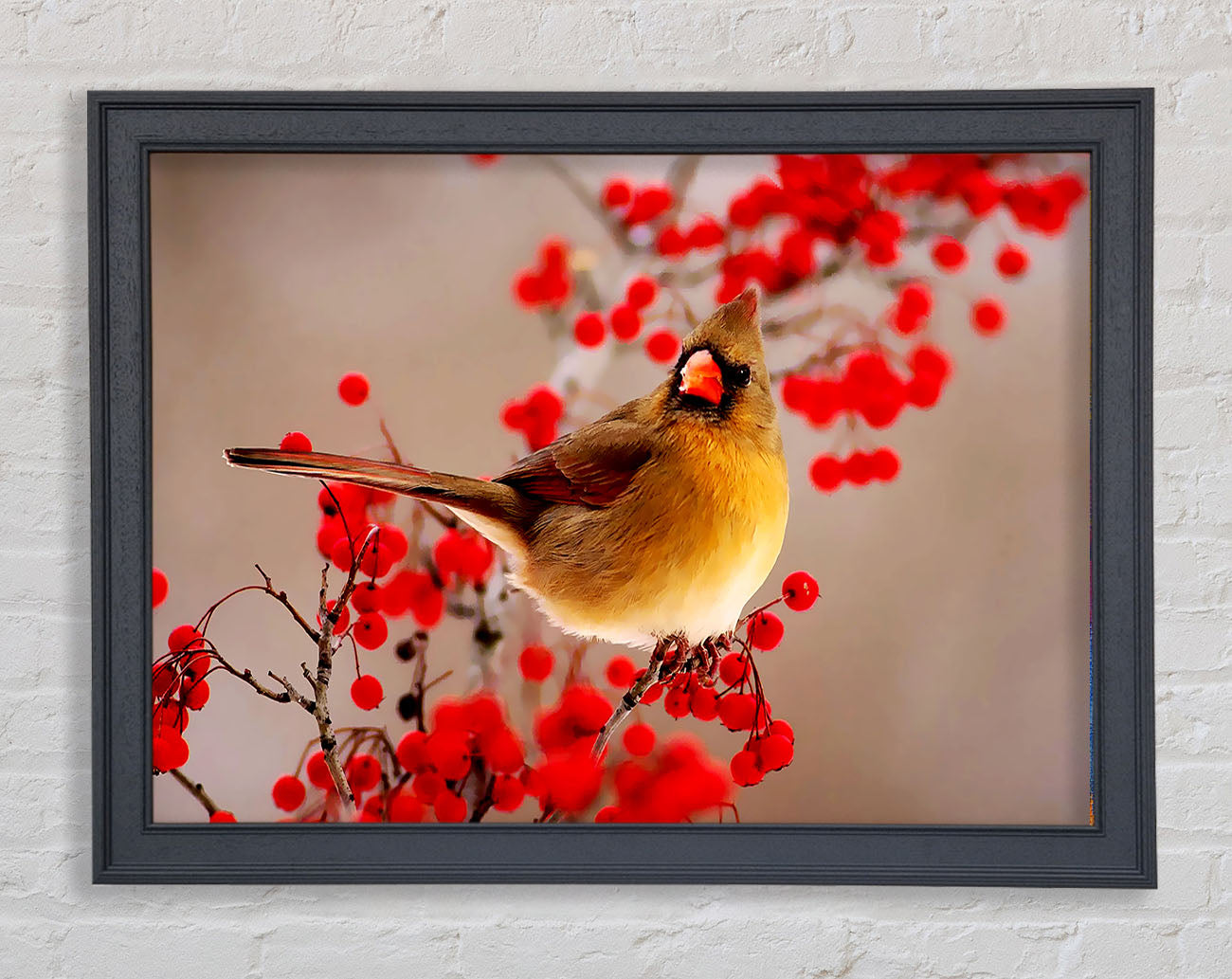 Garden Bird Framed Print