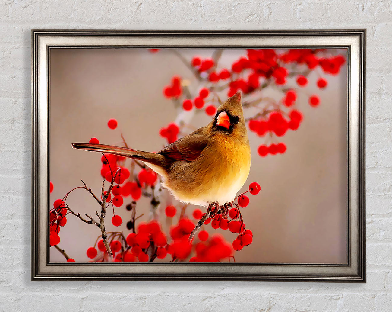 Garden Bird Framed Print