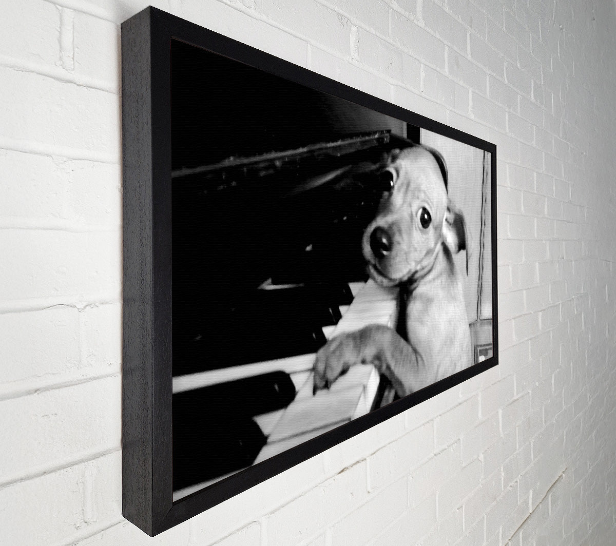 Piano Pup Canvas Wall Art