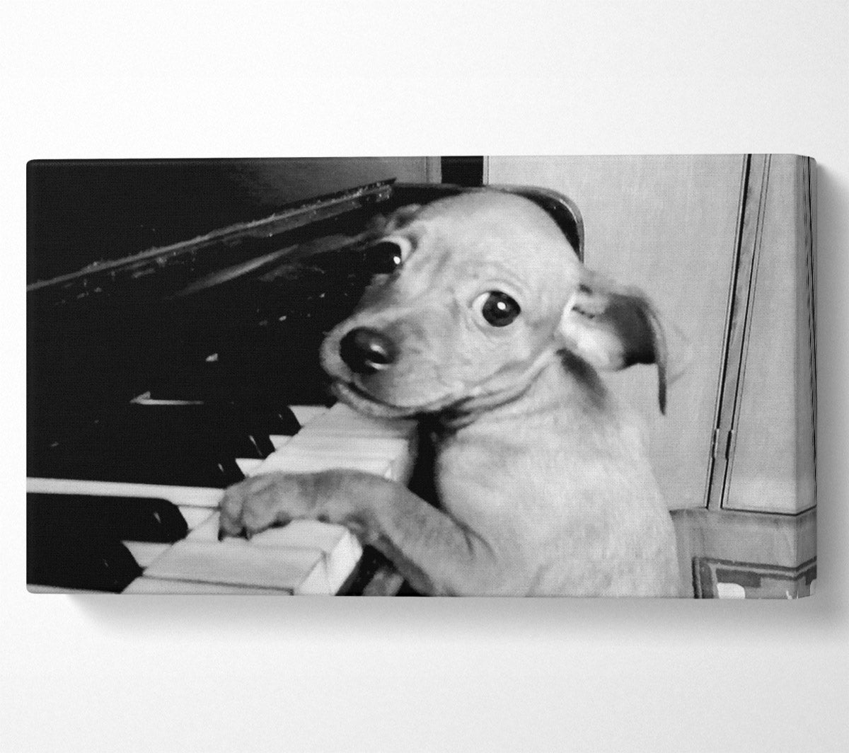 Piano Pup Canvas Wall Art