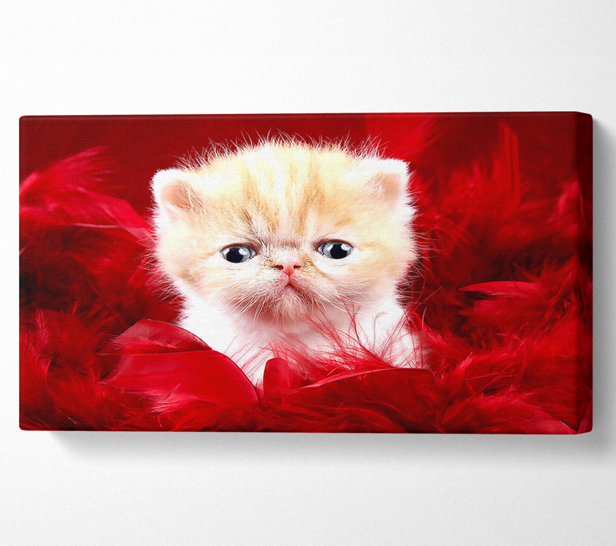 Precious Cute Love Canvas Wall Art