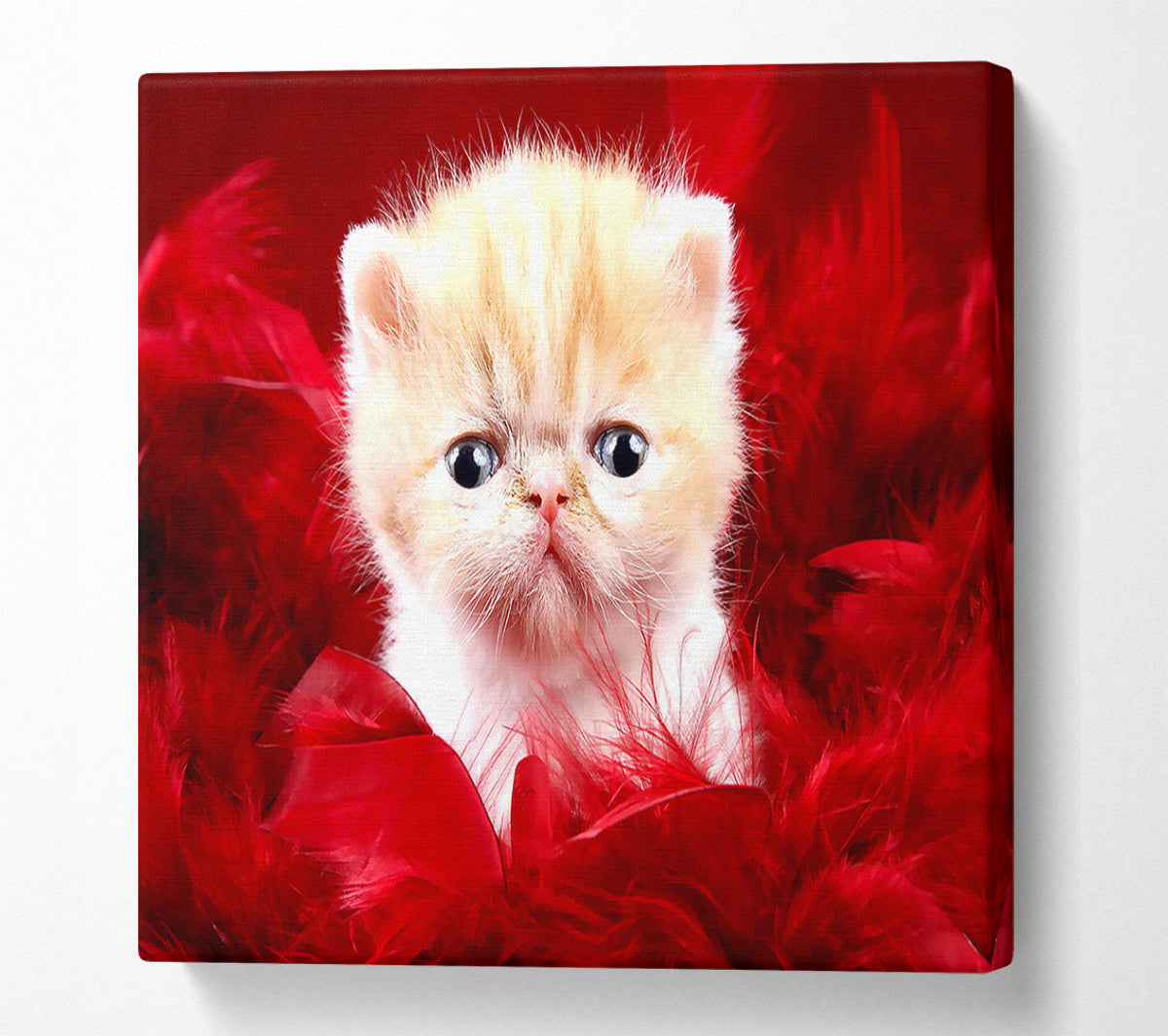 Precious Cute Love Canvas Wall Art