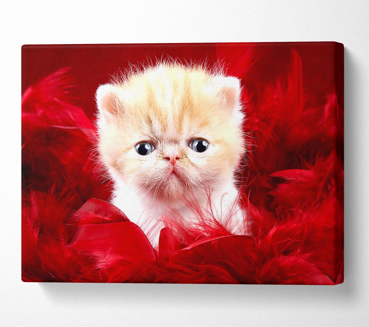 Precious Cute Love Canvas Wall Art