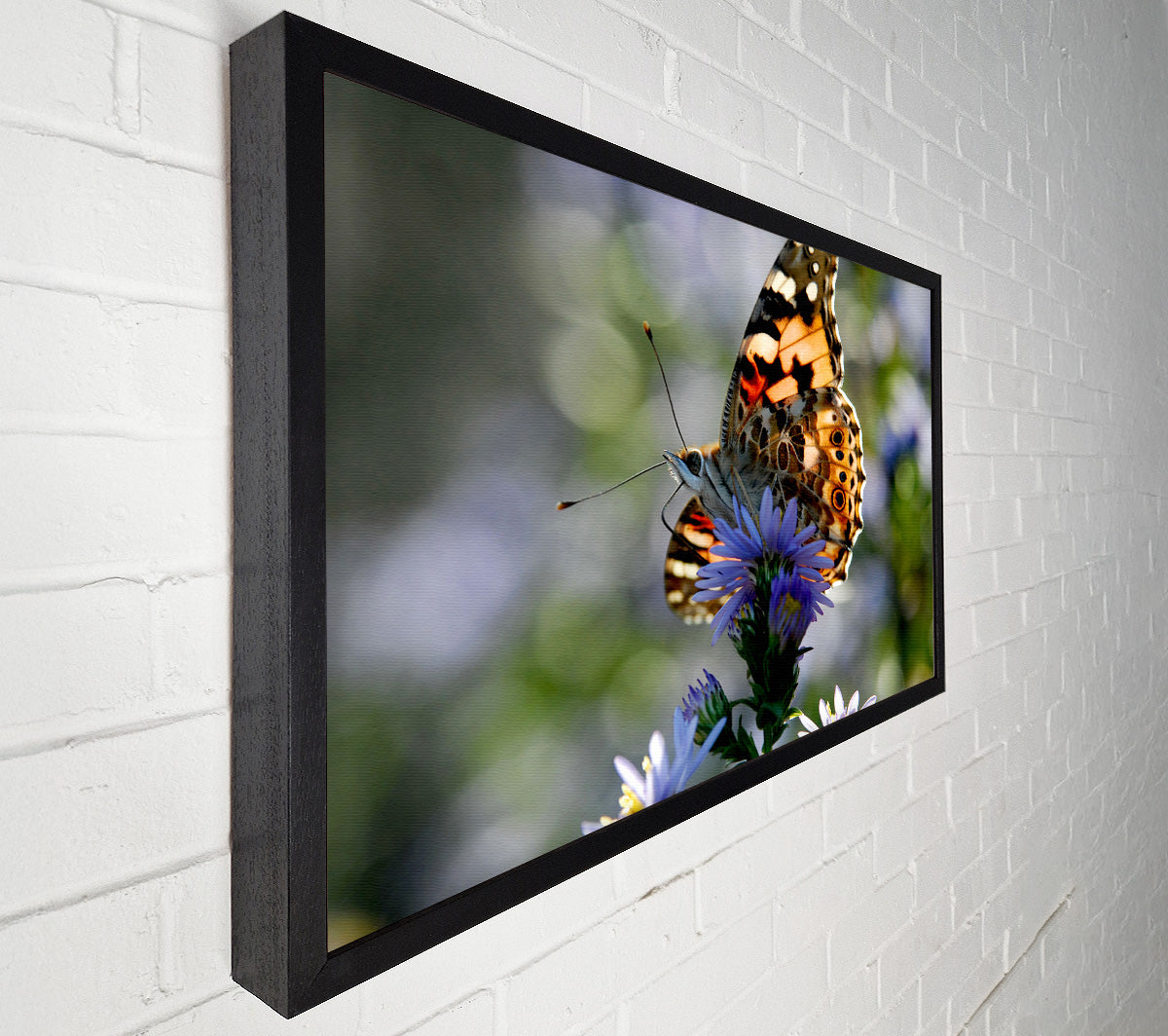 Purple Flower Butterfly Canvas Wall Art