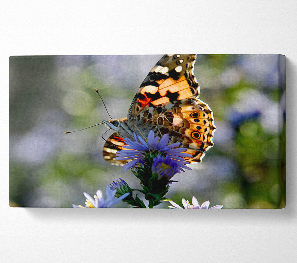 Purple Flower Butterfly Canvas Wall Art