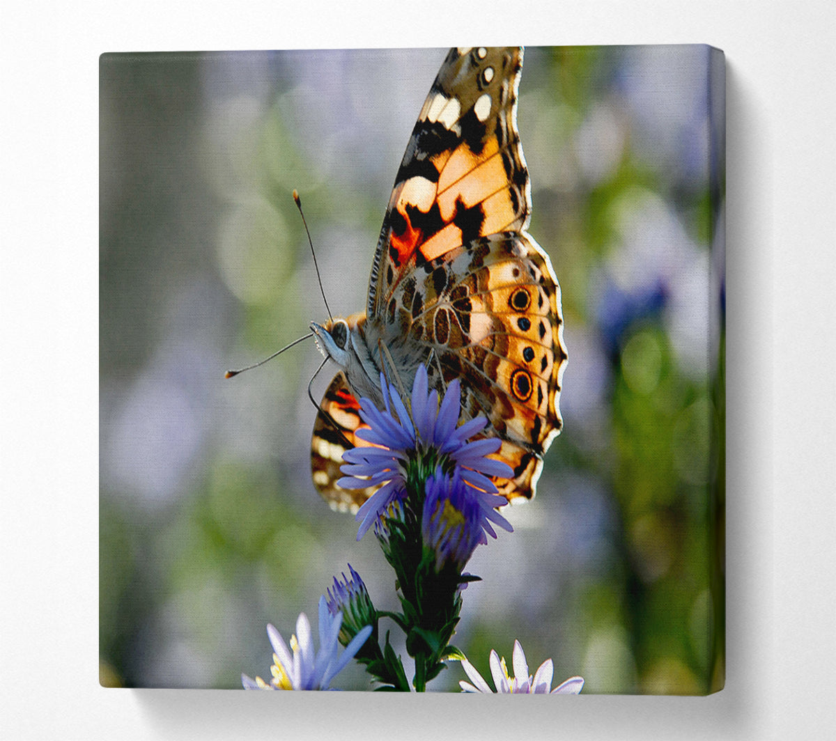 Purple Flower Butterfly Canvas Wall Art