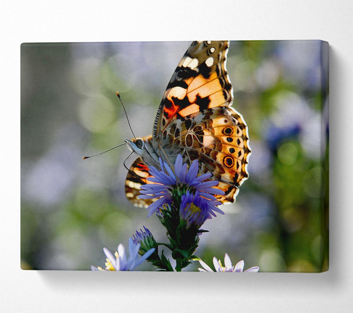Purple Flower Butterfly Canvas Wall Art