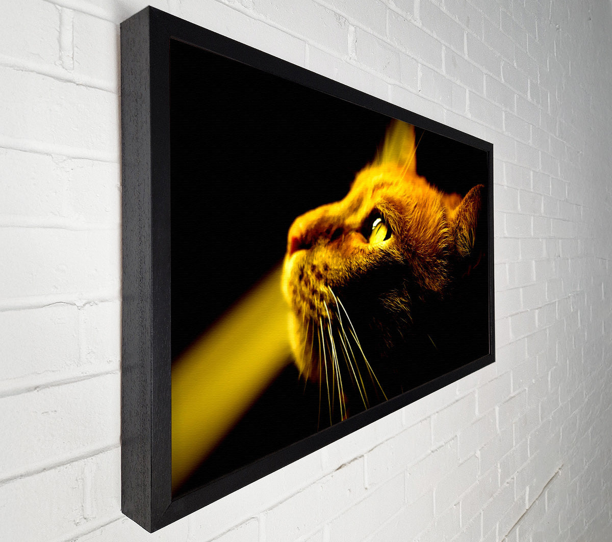 Red Cat Profile Canvas Wall Art