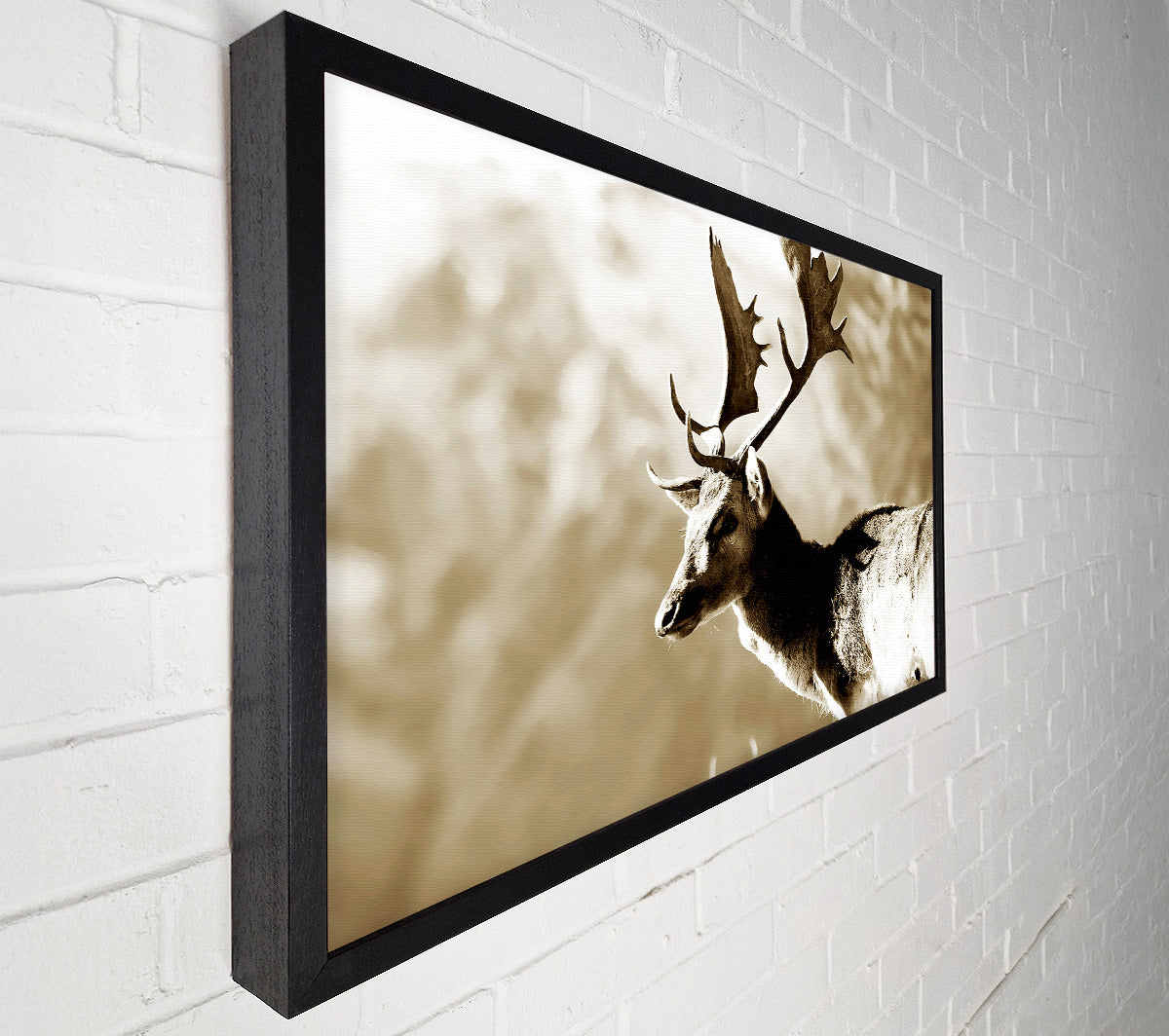 Reindeer Canvas Wall Art