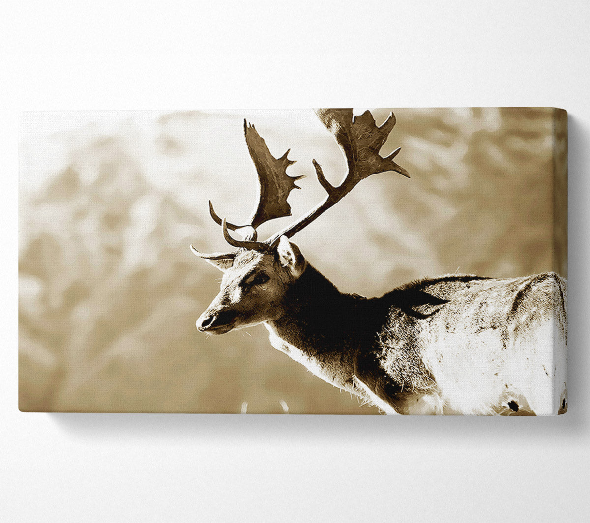 Reindeer Canvas Wall Art