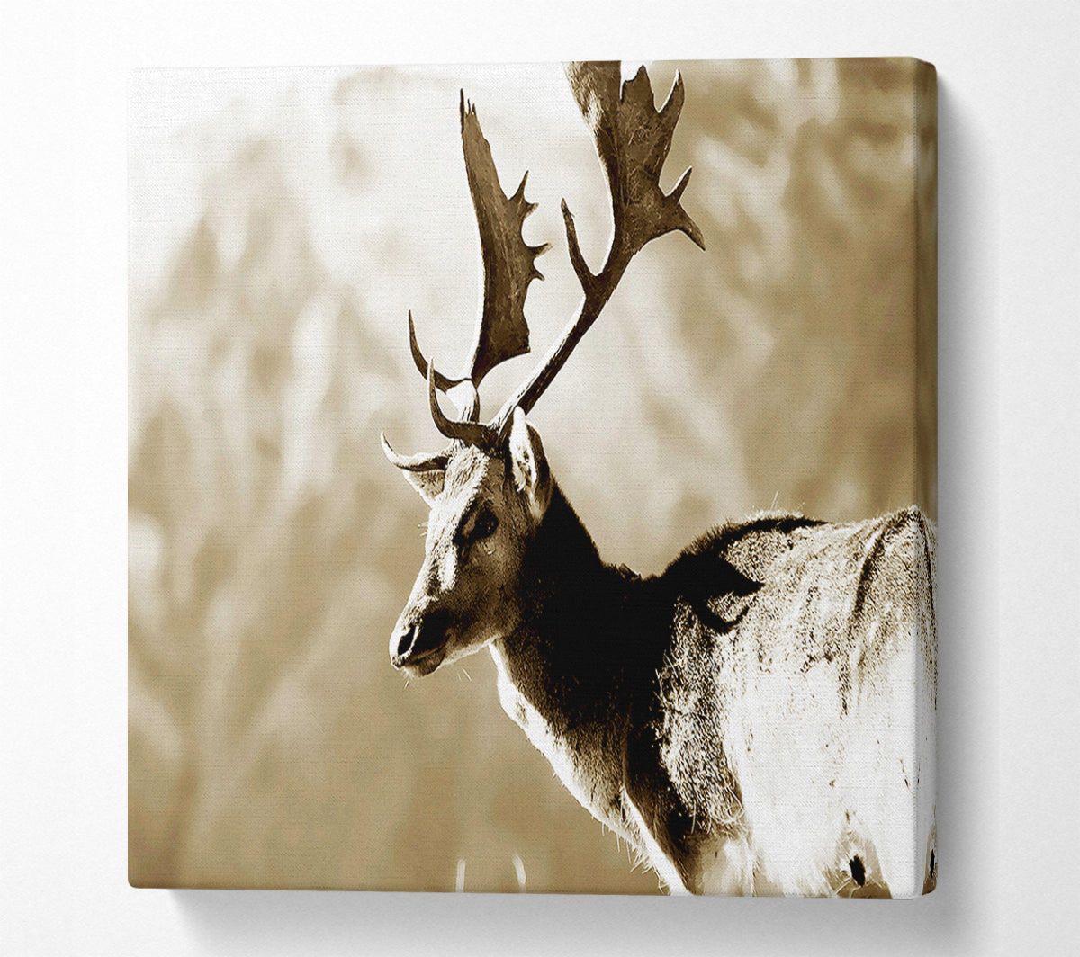 Reindeer Canvas Wall Art