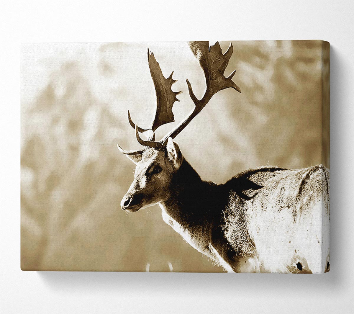 Reindeer Canvas Wall Art