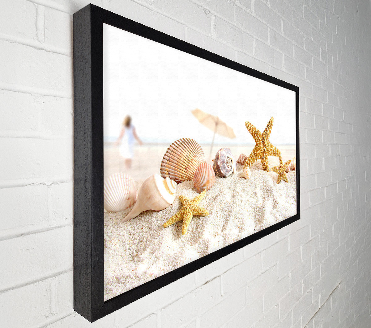 Seashells And Starfish On The Beach Canvas Wall Art