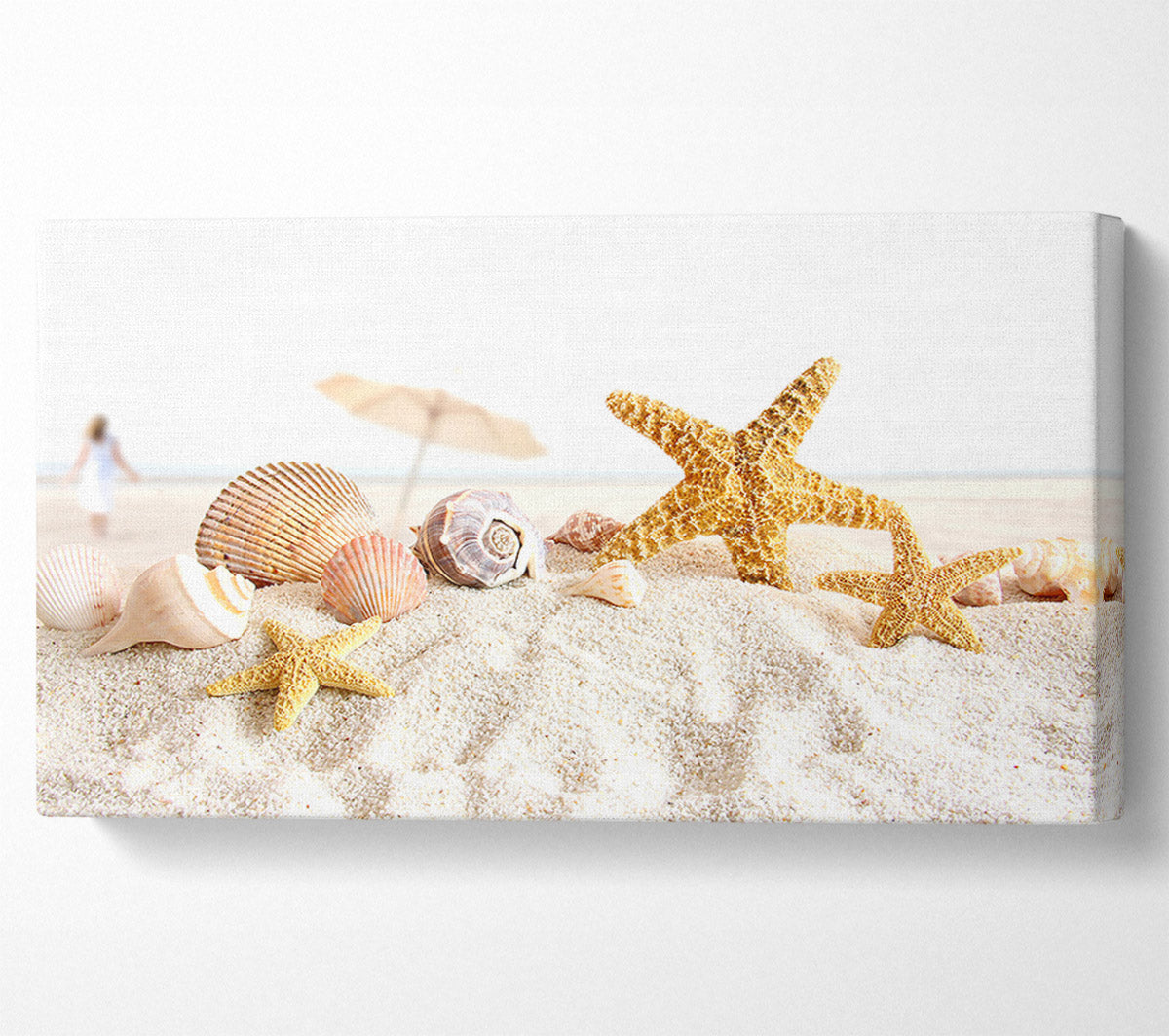 Seashells And Starfish On The Beach Canvas Wall Art