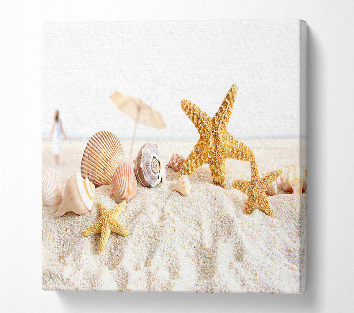 Seashells And Starfish On The Beach Canvas Wall Art