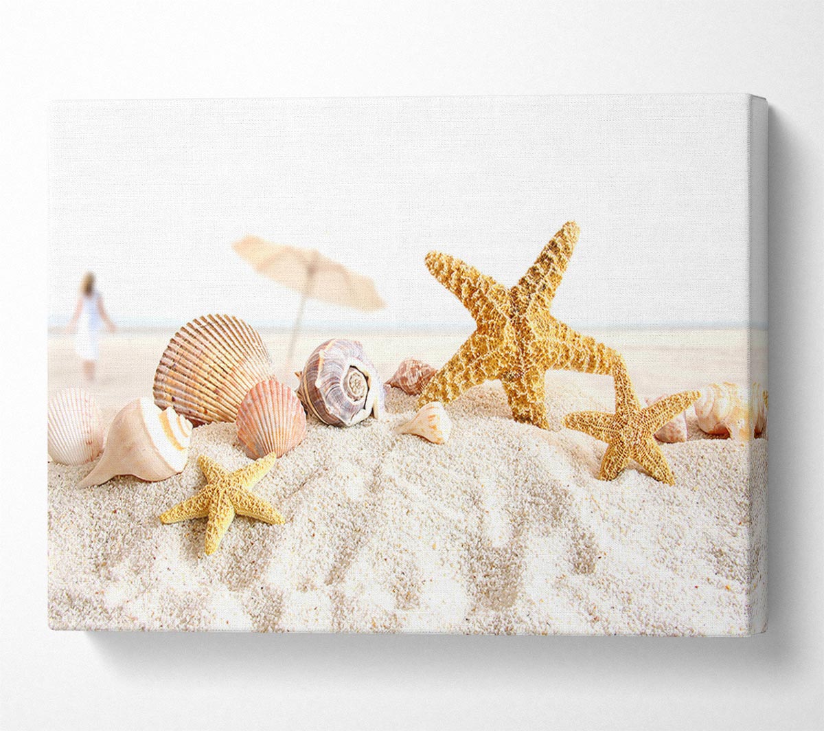 Seashells And Starfish On The Beach Canvas Wall Art
