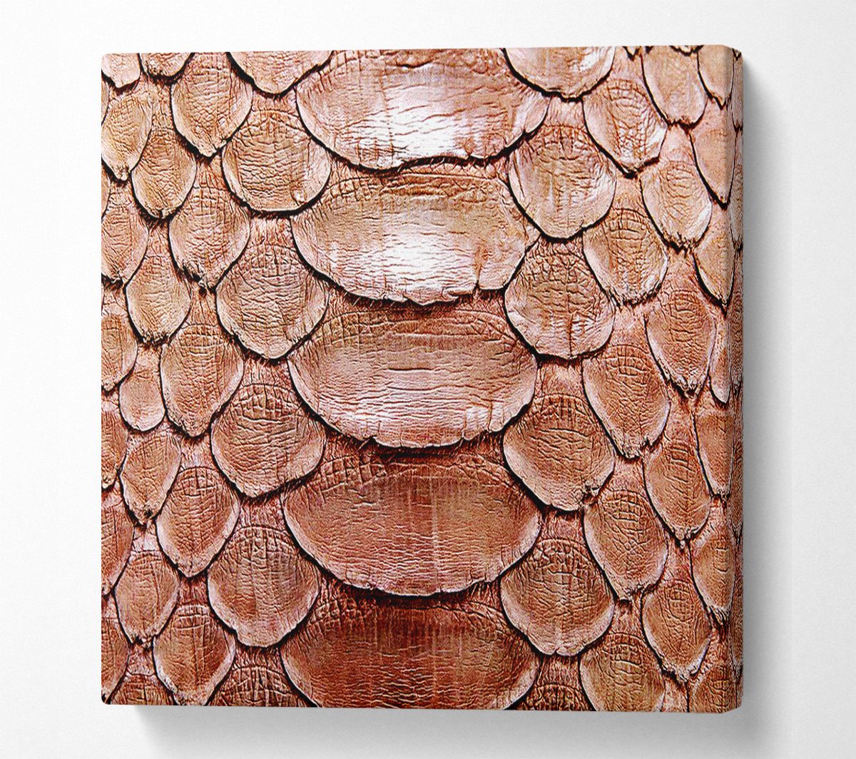 Snake Maze Canvas Wall Art