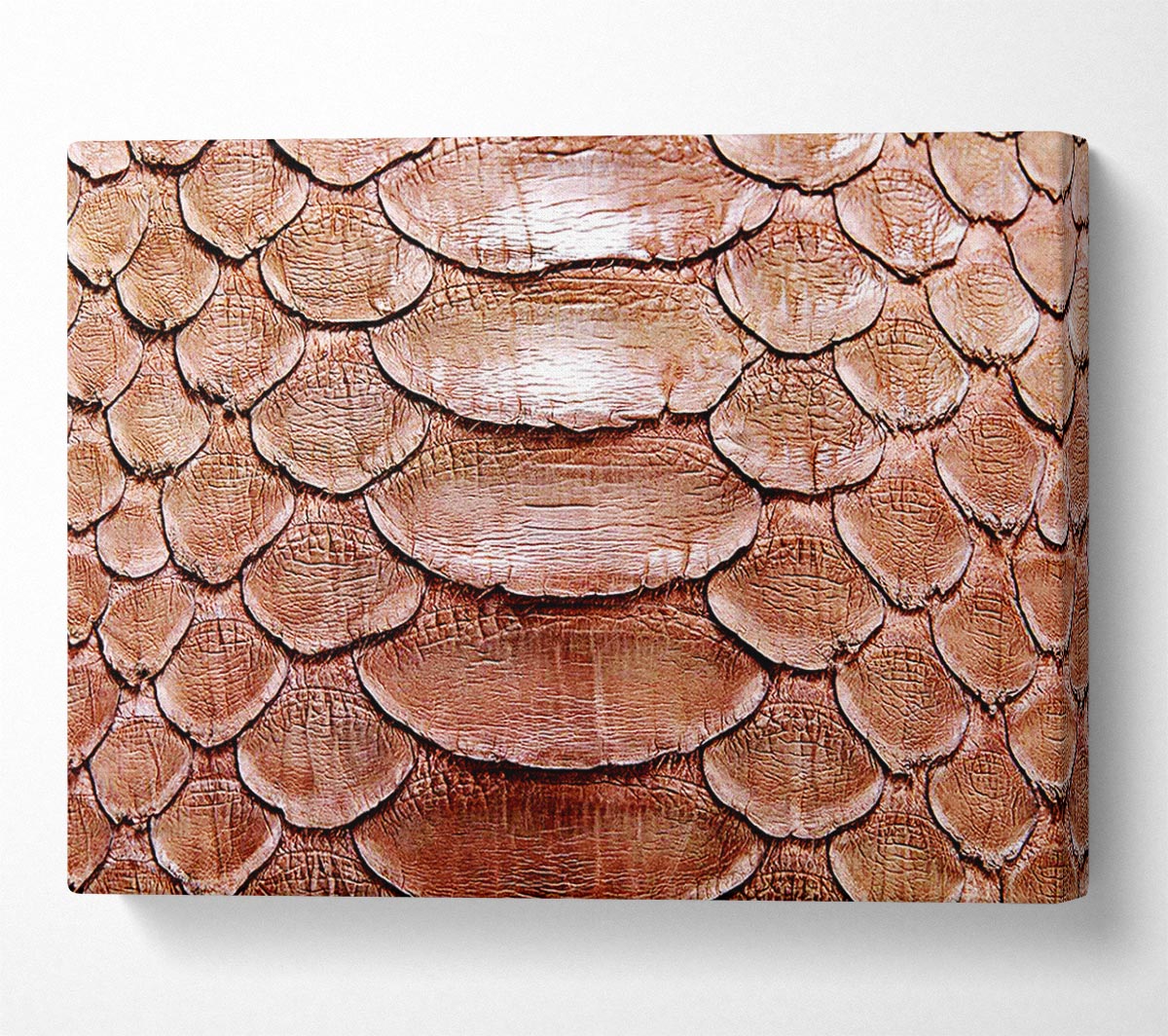 Snake Maze Canvas Wall Art