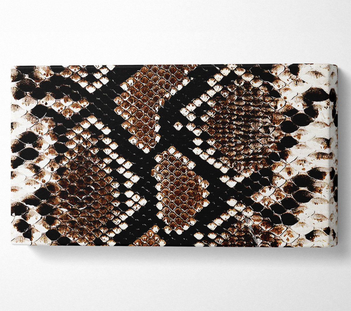 Snake Skin Canvas Wall Art