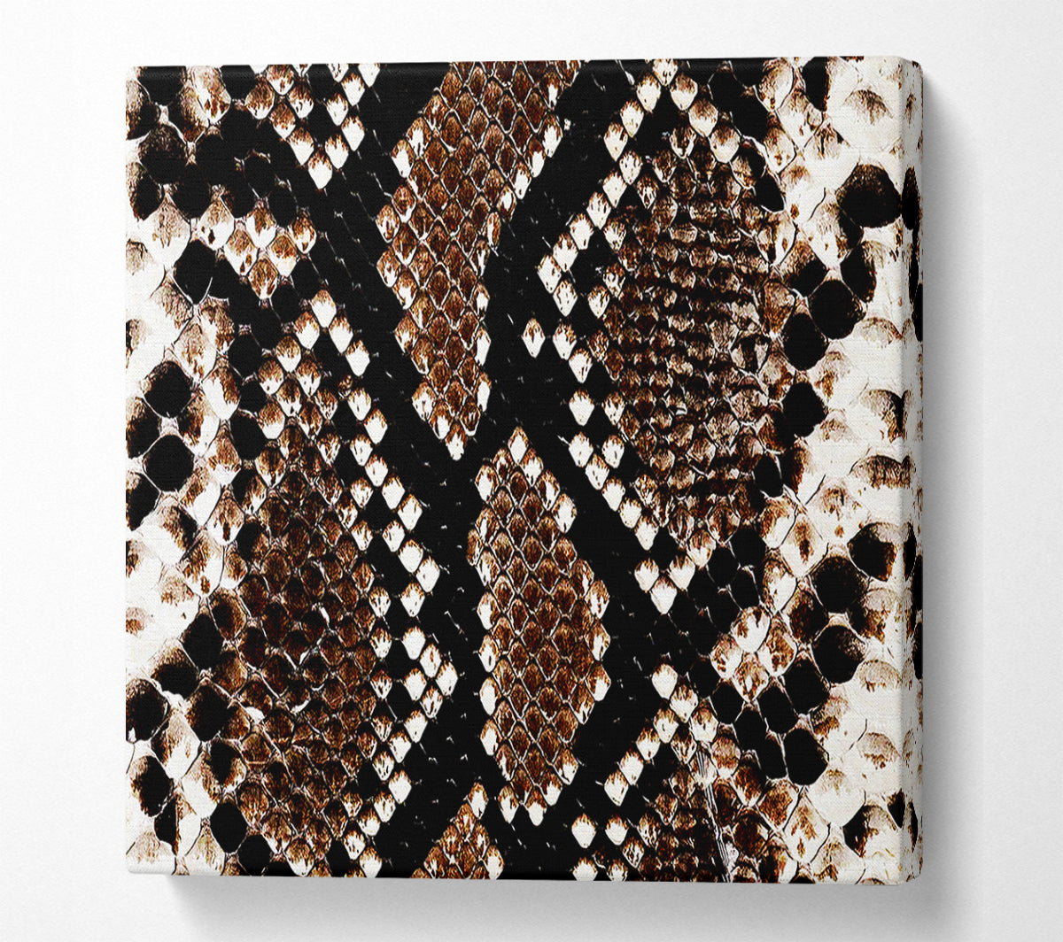 Snake Skin Canvas Wall Art