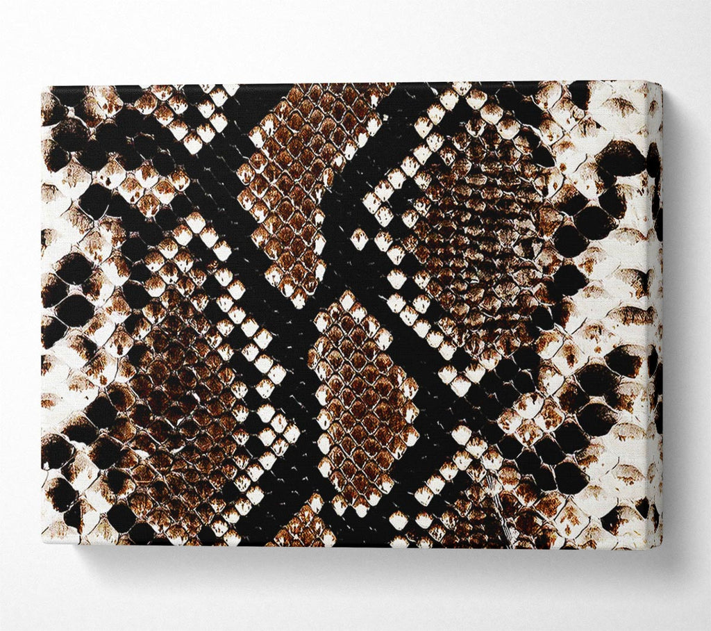 Snake Skin Canvas Wall Art