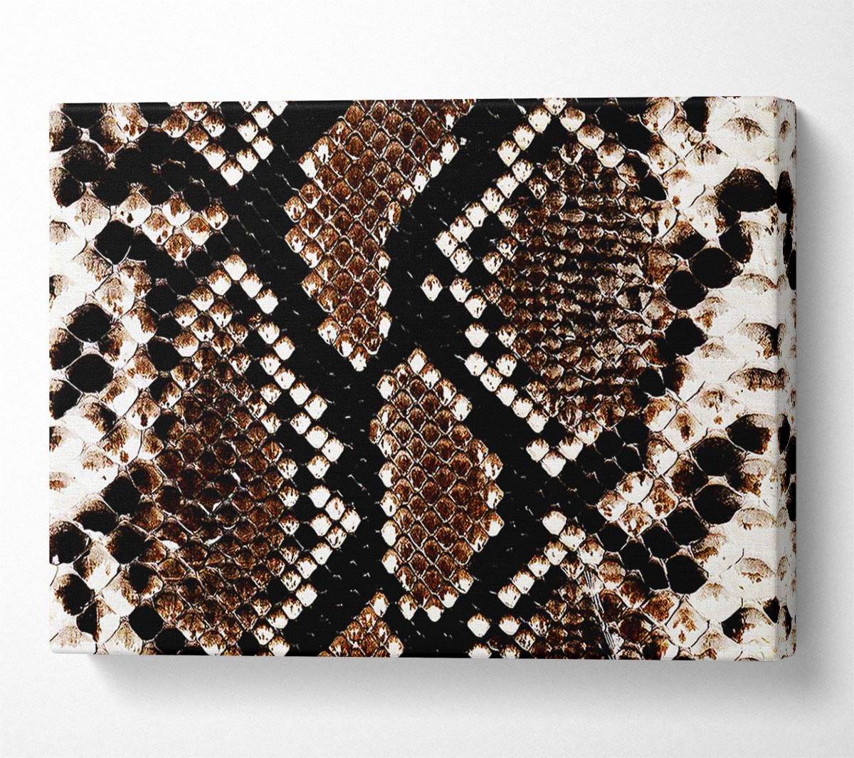 Snake Skin Canvas Wall Art