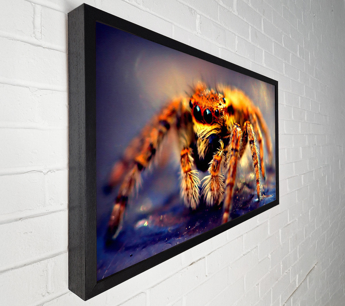 Spider Close-Up Canvas Wall Art