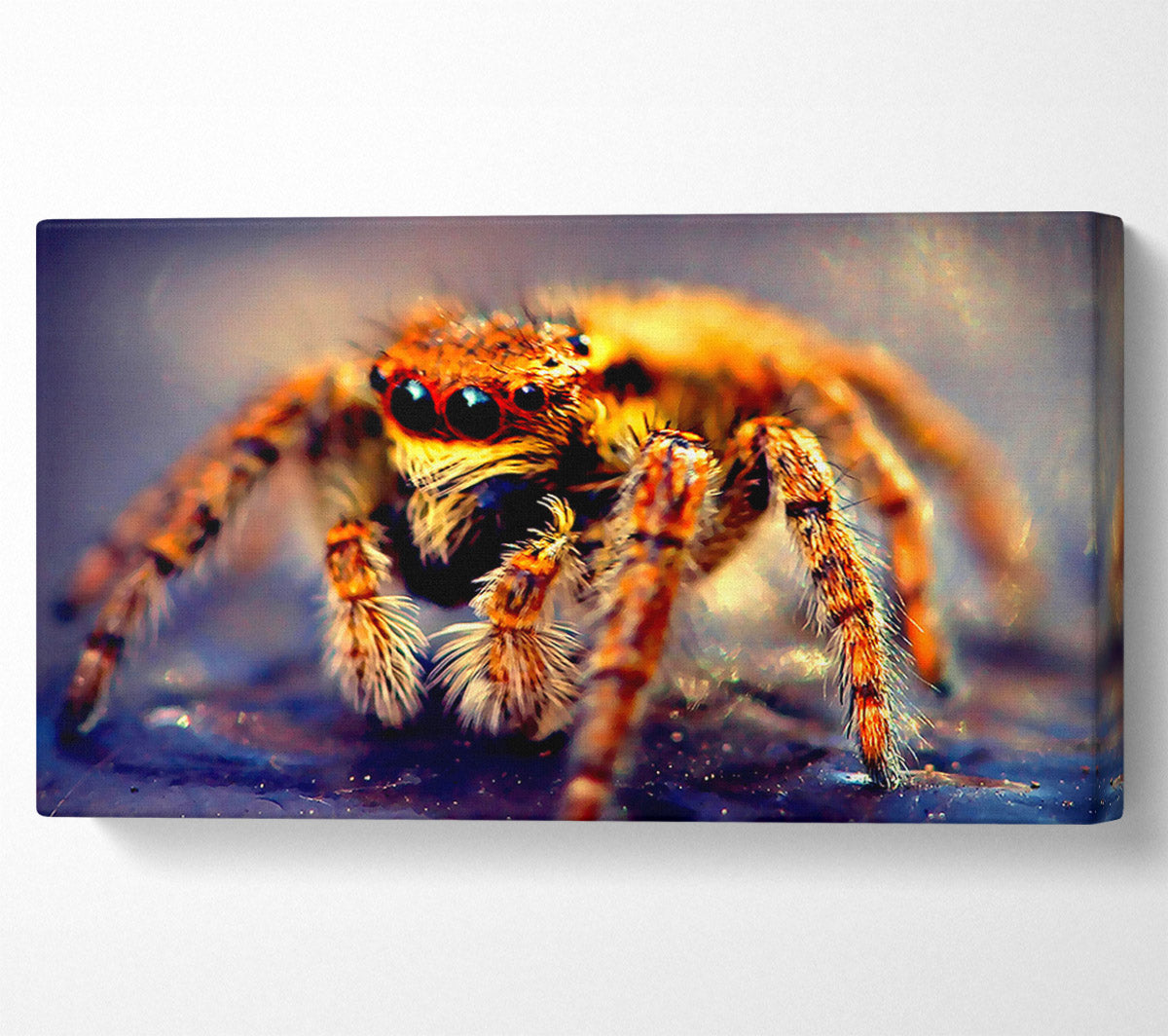 Spider Close-Up Canvas Wall Art