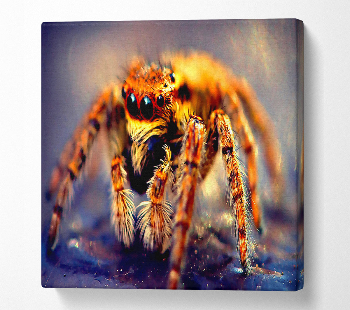 Spider Close-Up Canvas Wall Art