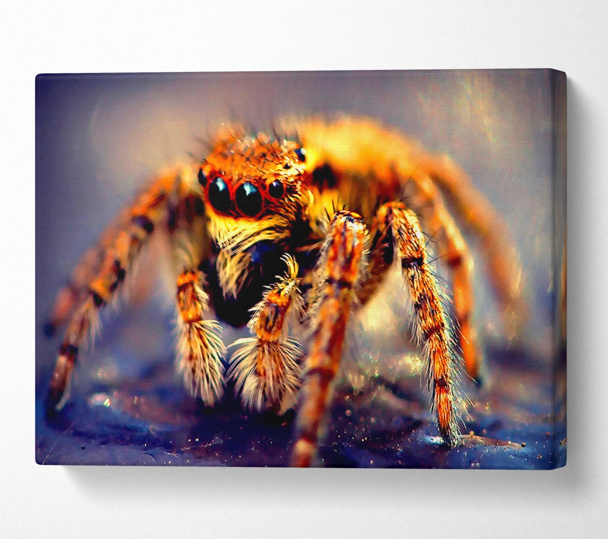 Spider Close-Up Canvas Wall Art