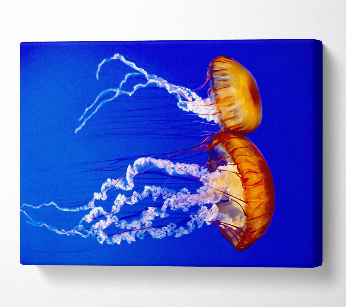 Stunning Jellyfish Canvas Wall Art