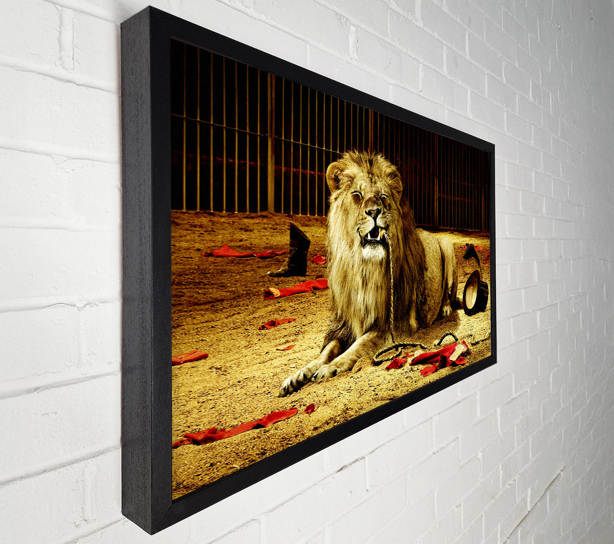 The Lion Tamer Canvas Wall Art