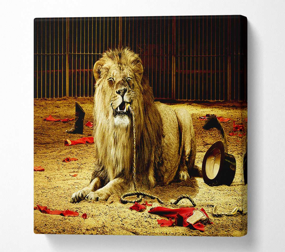 The Lion Tamer Canvas Wall Art